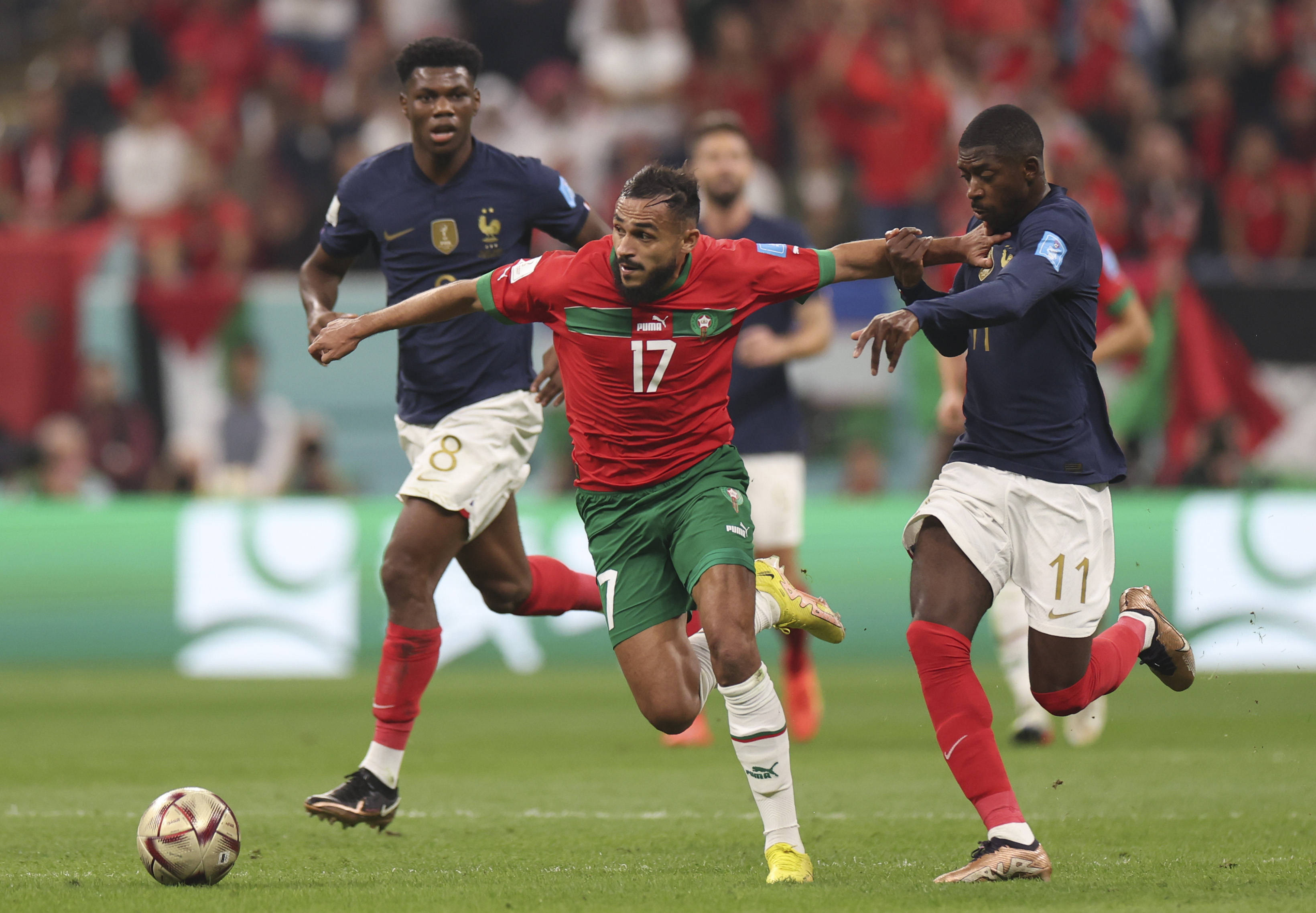 从而形成 从而形成